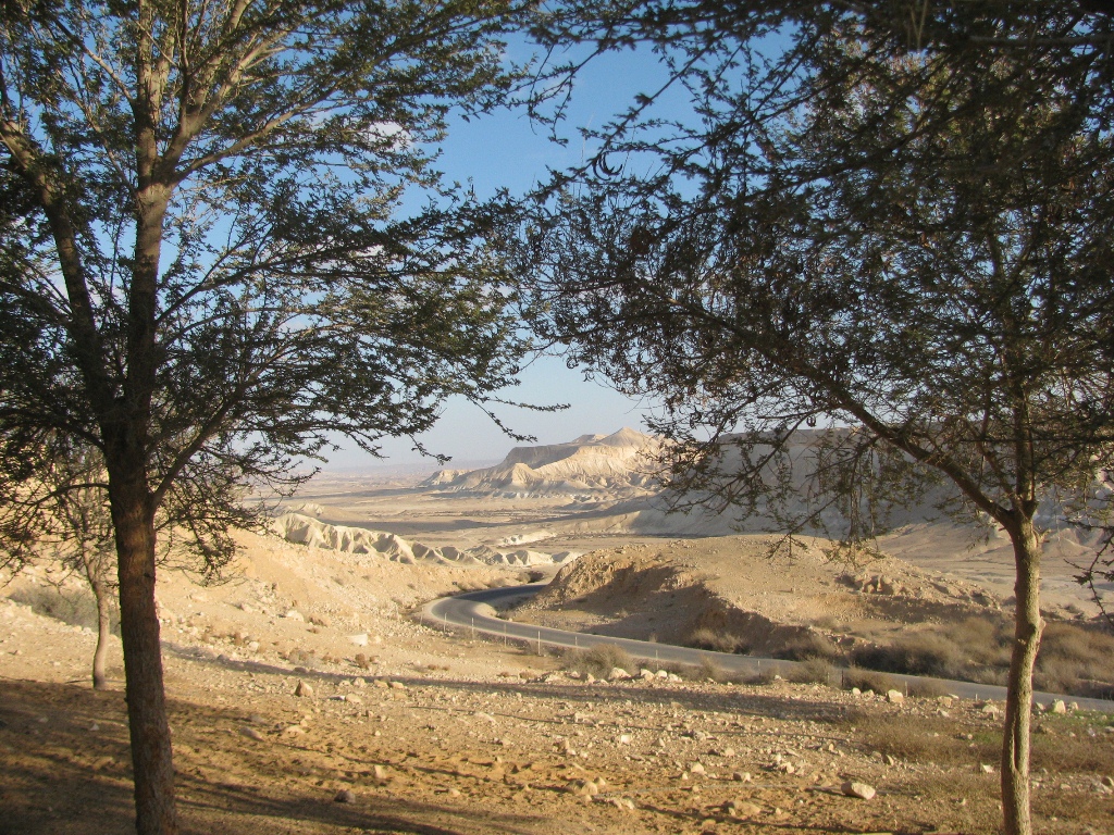 רמת נגב – טיילת נחל צין