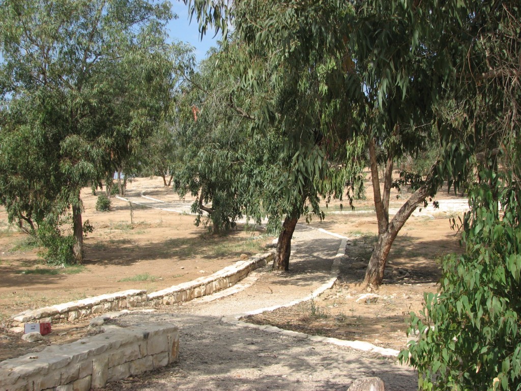נחל שקמה